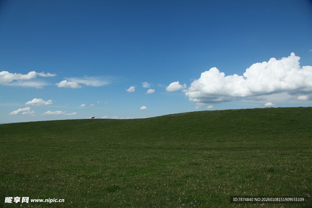 广袤草原与蓝天白云