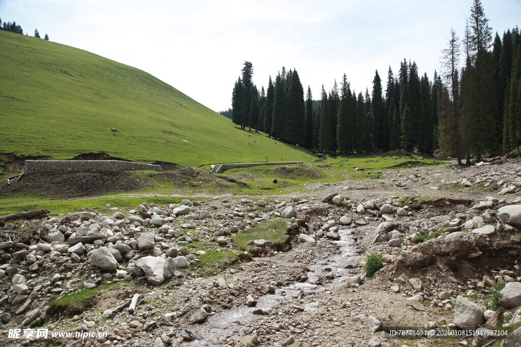 山间碎石小溪与葱郁草地