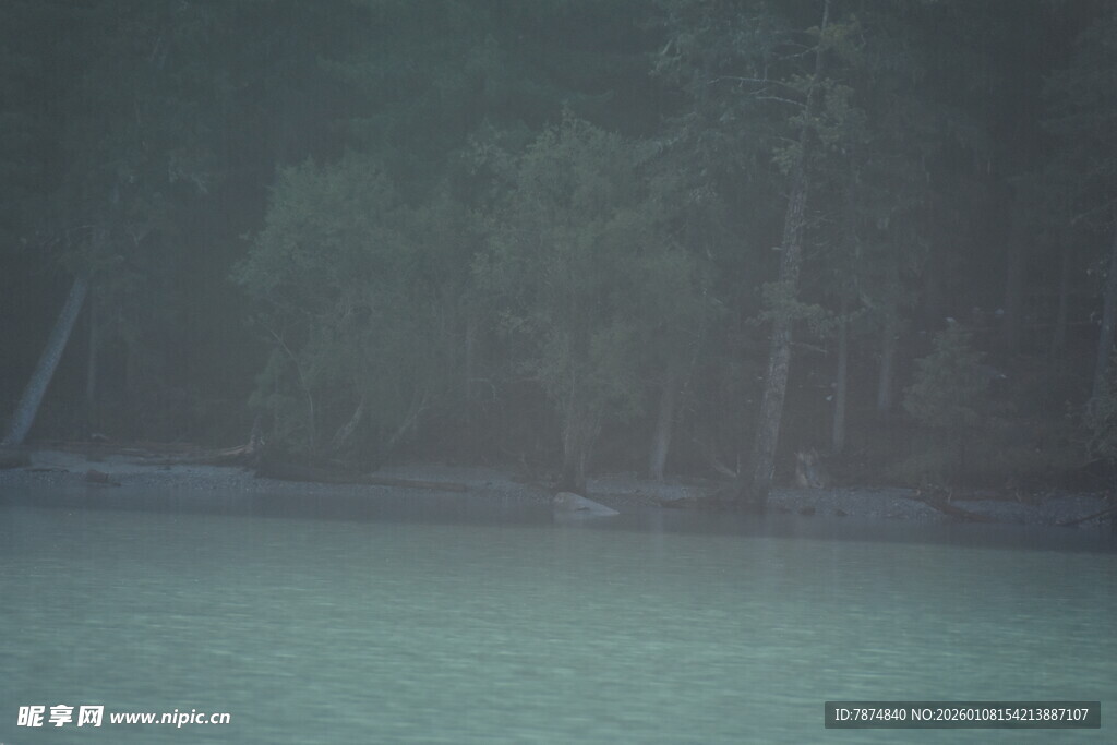 朦胧湖畔森林景色