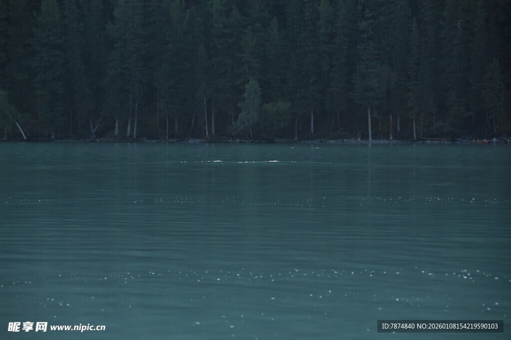 宁静湖水与岸边林木