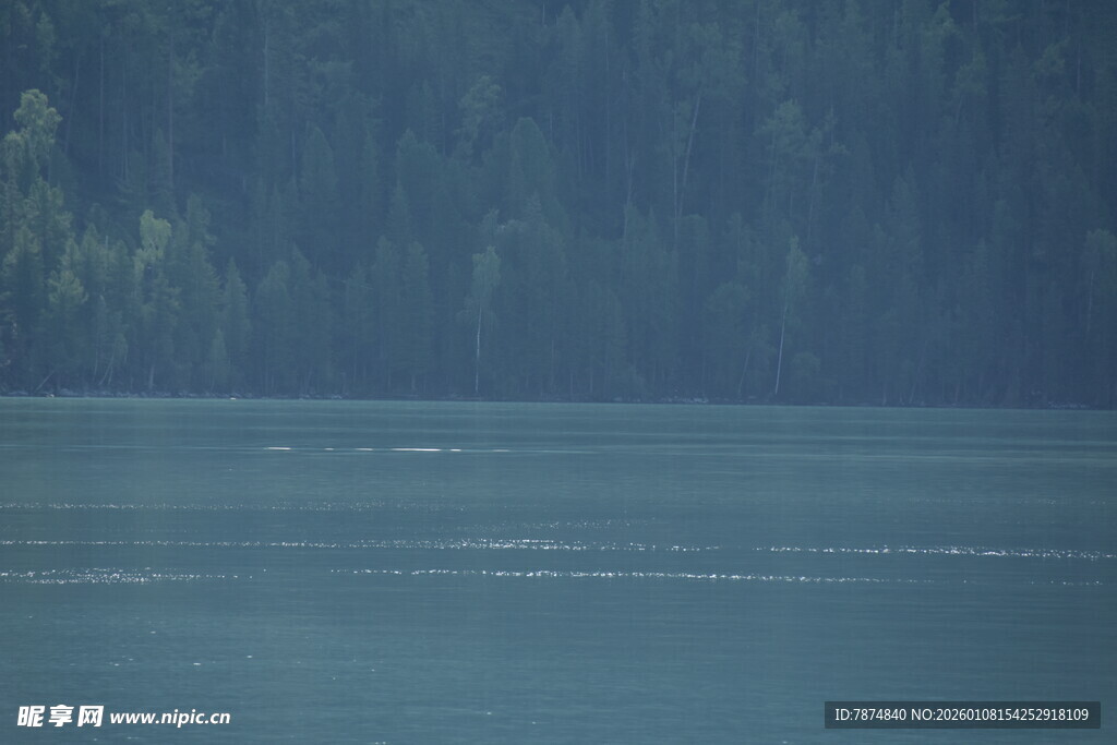 宁静湖水与葱郁山林
