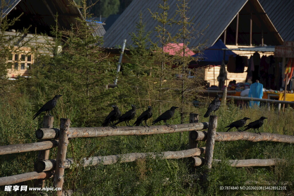 山间木屋旁的木栅栏风景