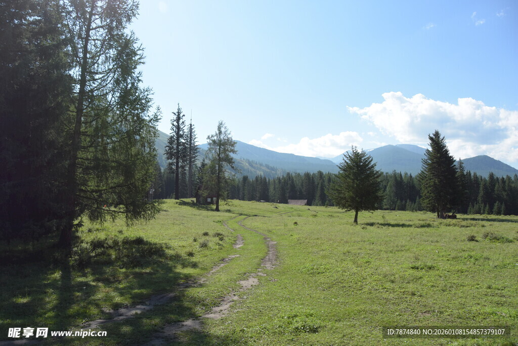 山间绿野小径风光