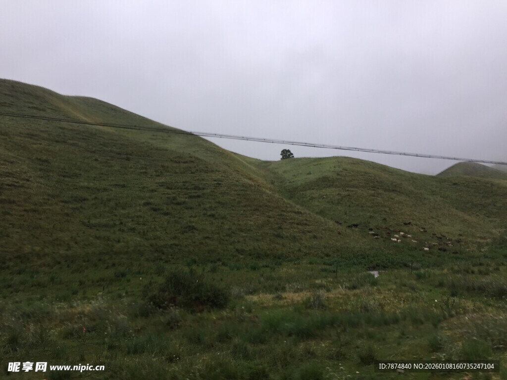山间绿野 电线横跨其上
