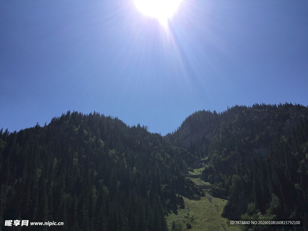 阳光照耀下的山林美景