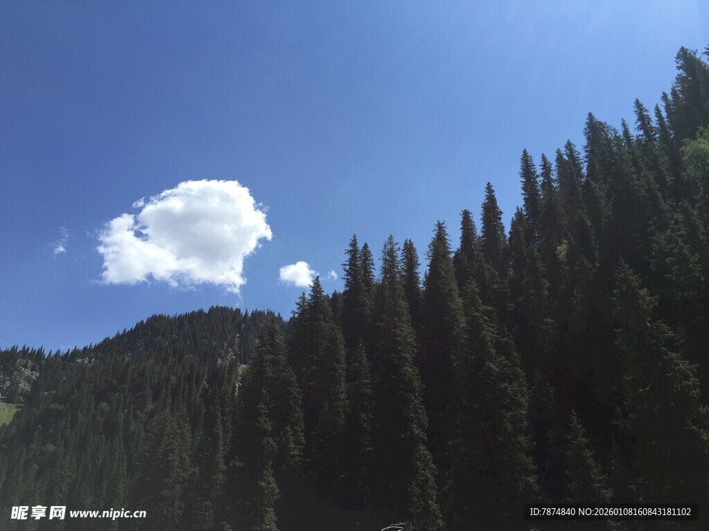 蓝天绿树间的悠然景致