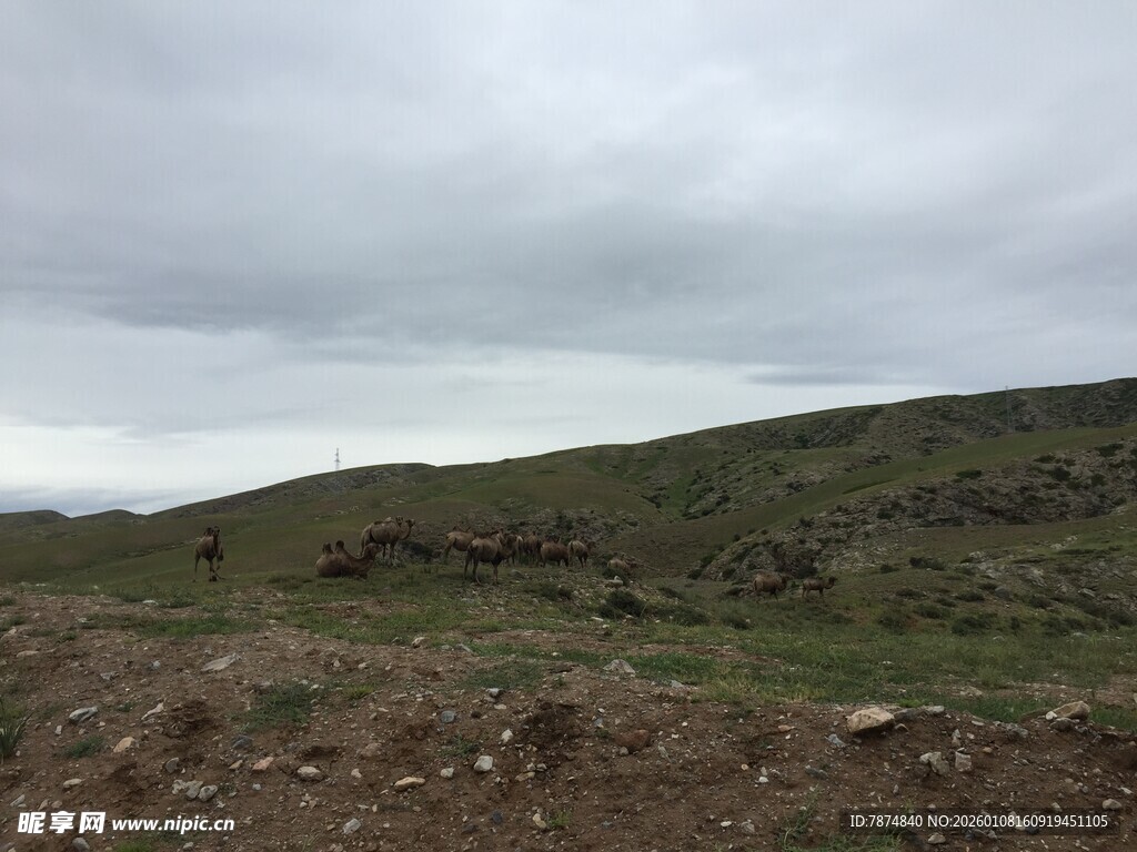 阴天的开阔山地景观