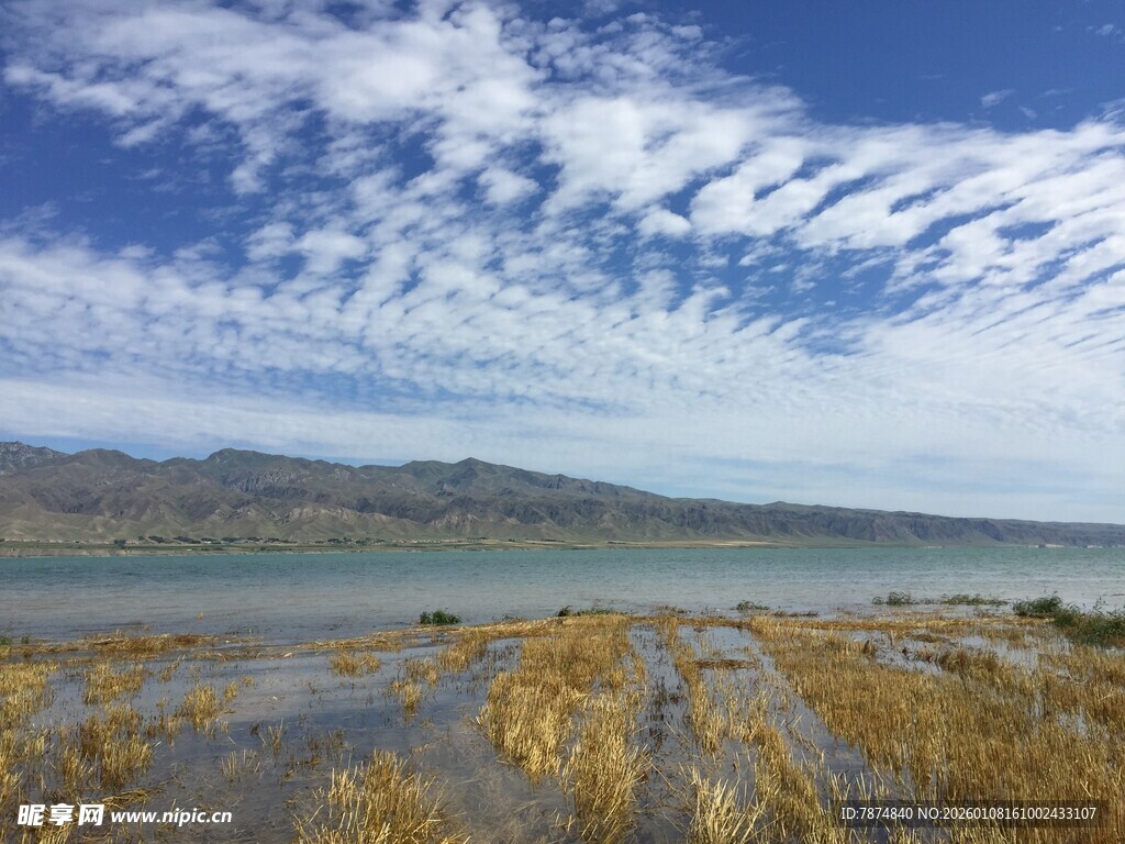 湖畔蓝天白云下的枯黄植被