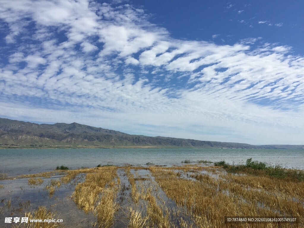 湖畔风光 蓝天白云映枯草