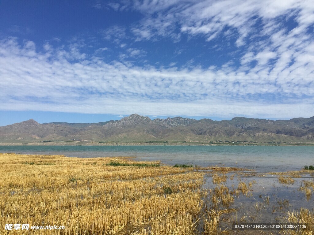 湖畔金黄草甸与远山蓝天
