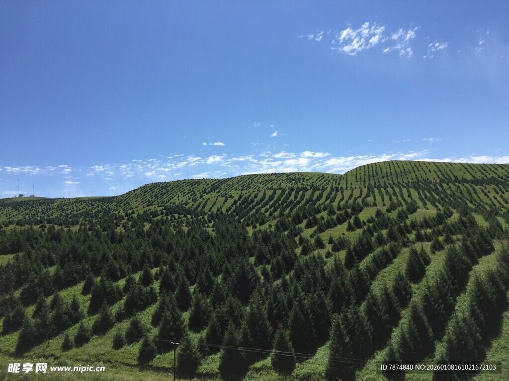 翠绿山林 蓝天白云美景