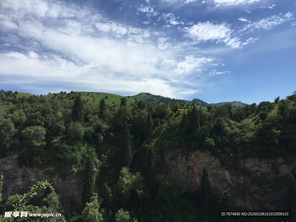 壮丽山林峡谷景观