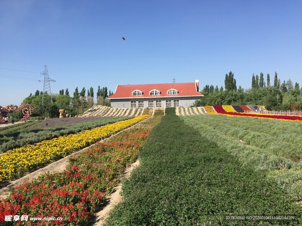 多彩花田与远处红顶建筑