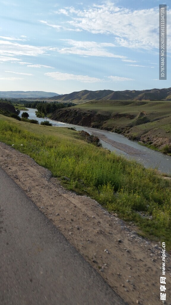乡村公路旁的绿意风景