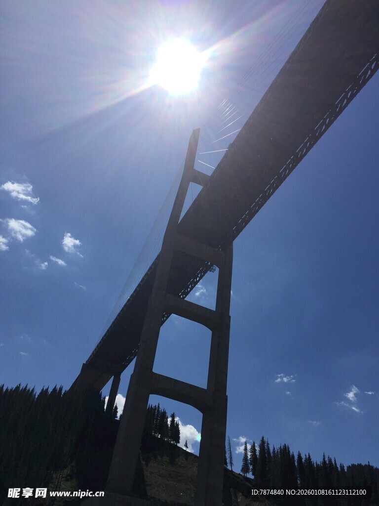 阳光下的高架桥