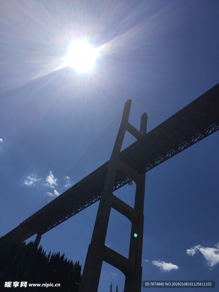 阳光下的高架桥