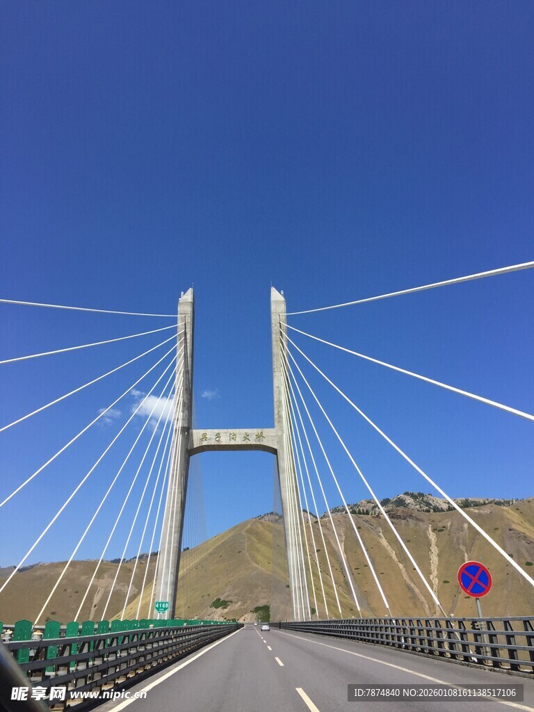 壮丽斜拉桥横跨开阔天地