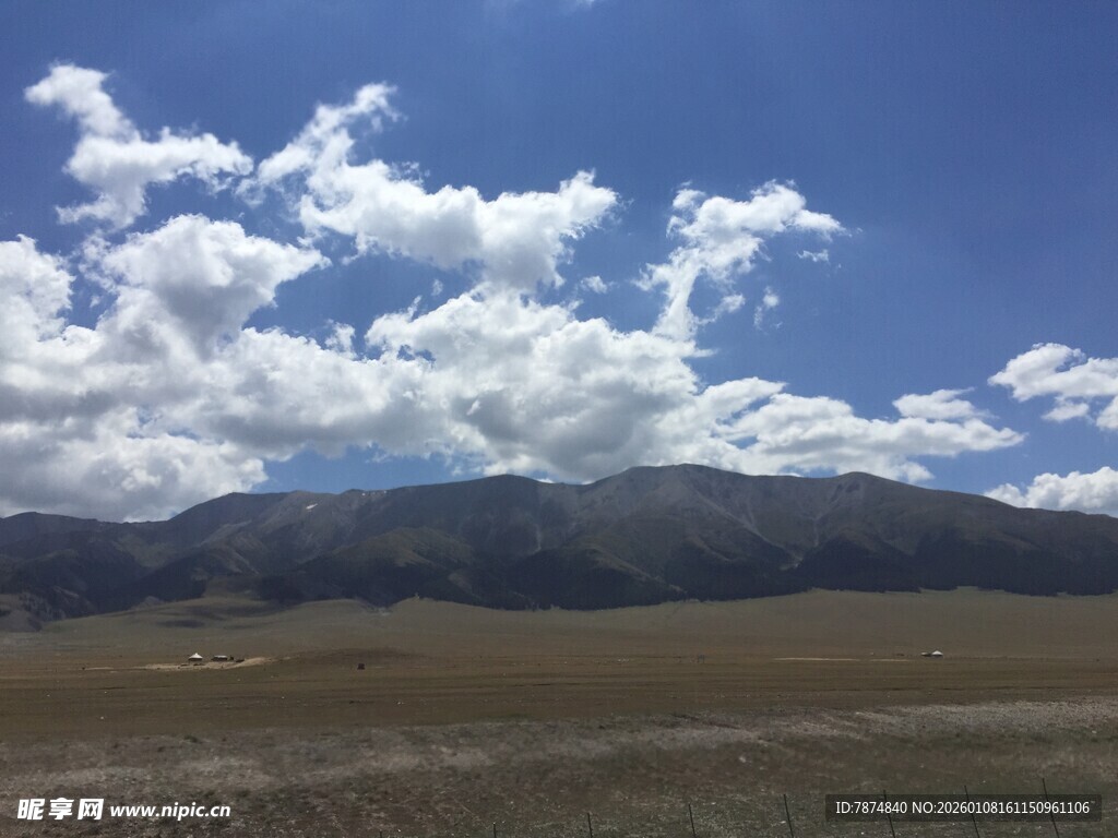 蓝天白云下的广袤原野