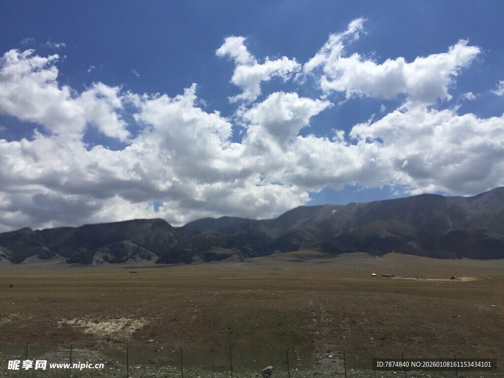 蓝天白云下的广袤原野