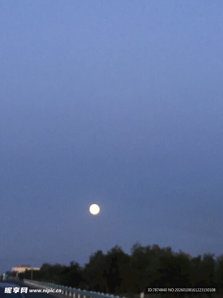 夜幕下的明月与树梢