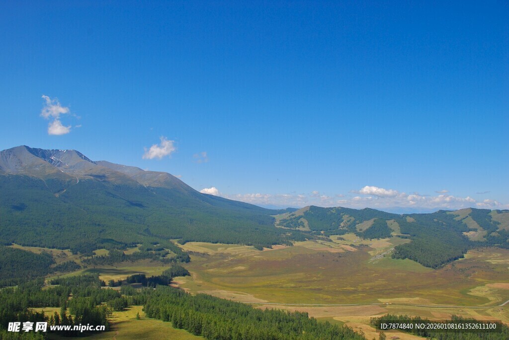 高山草甸壮美风光