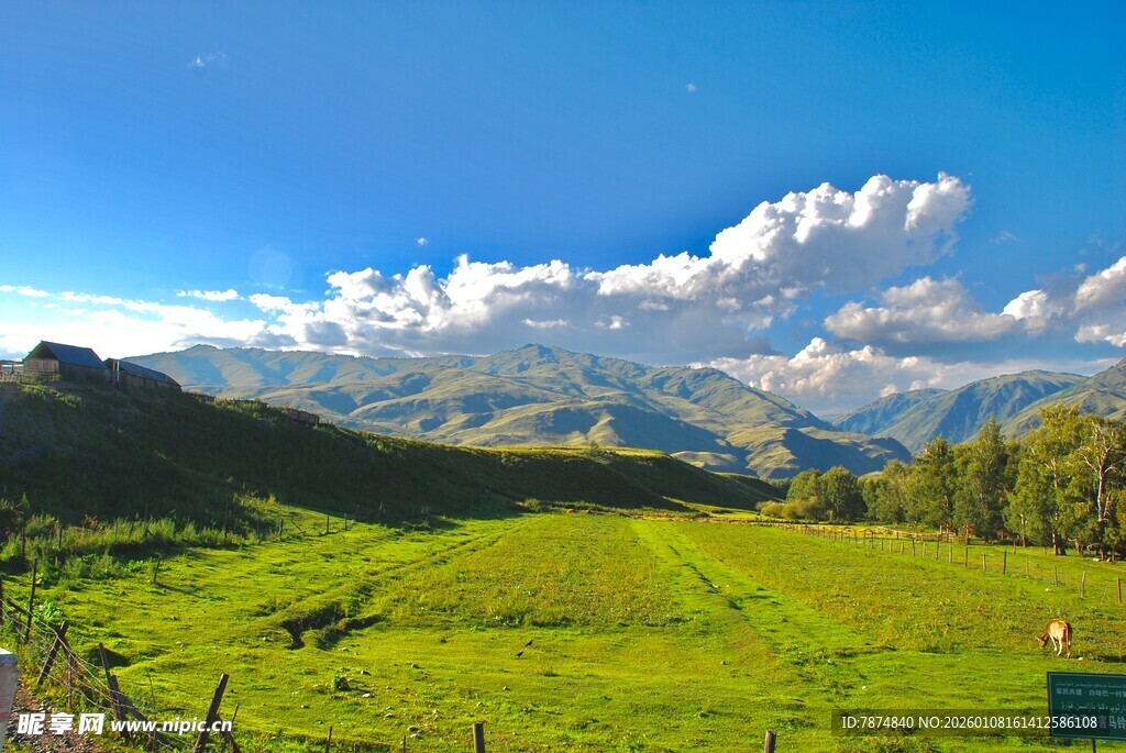 美丽山间草原风景图
