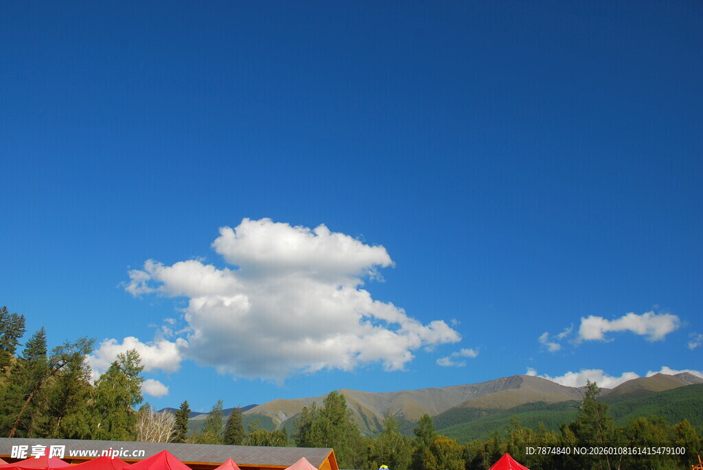 蓝天绿树间的美丽景致