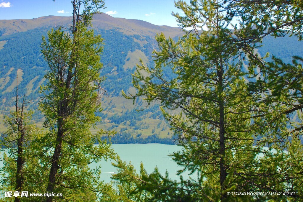 山林间的碧绿湖水景观