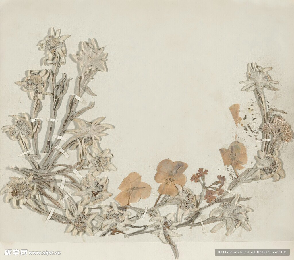 中式花卉枝叶绘画作品