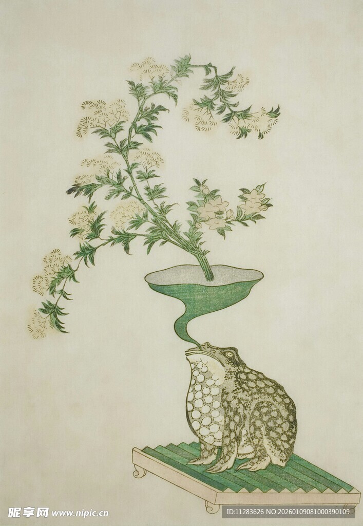 蛙望花枝图