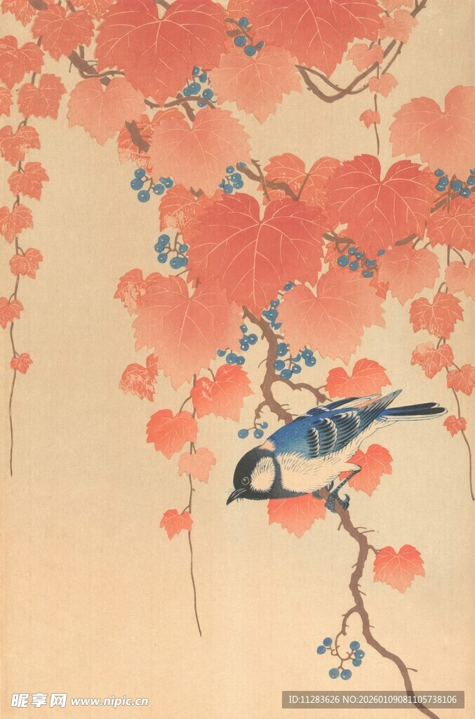 花鸟图