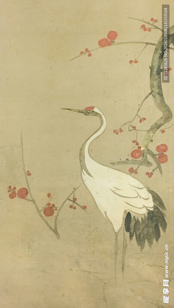 中式花鸟图中的优雅白鹤