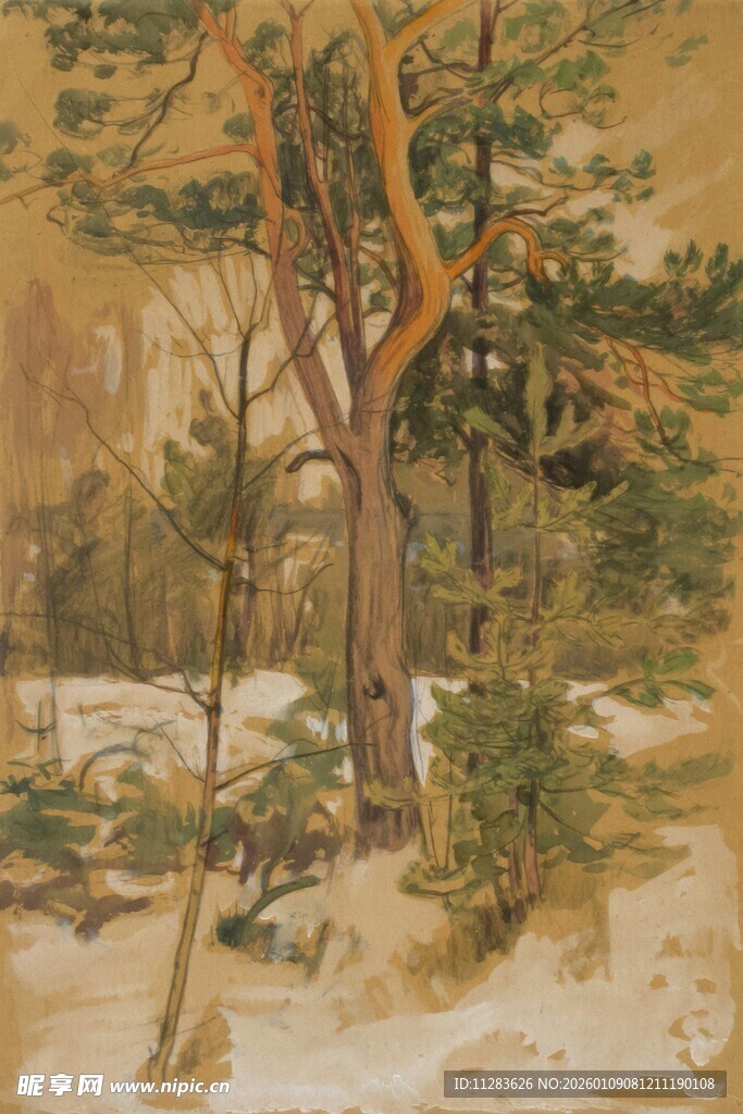 冬日松林雪景绘画作品