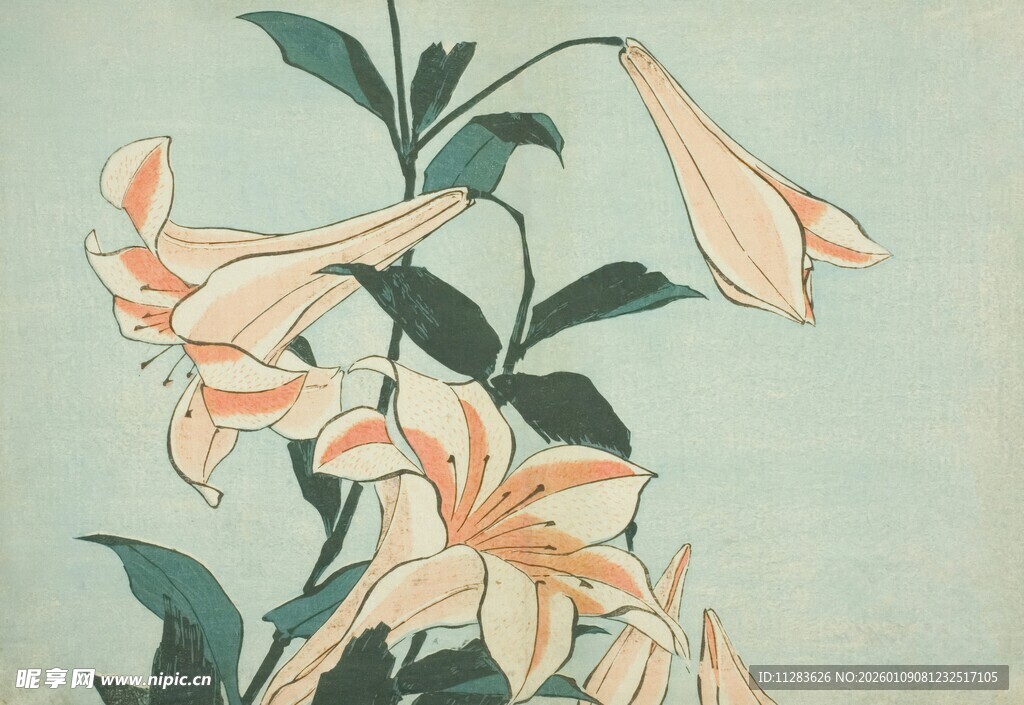 淡雅百合花卉图