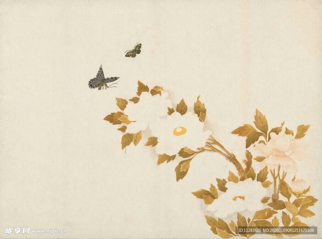 中式花鸟图