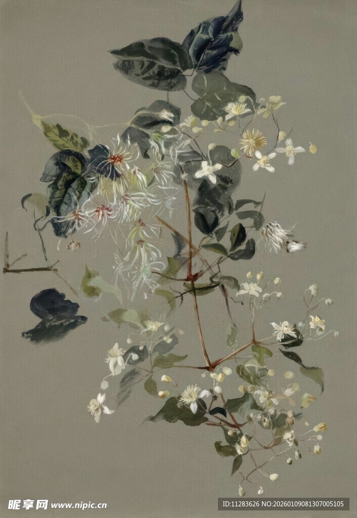 手绘花卉植物装饰图案