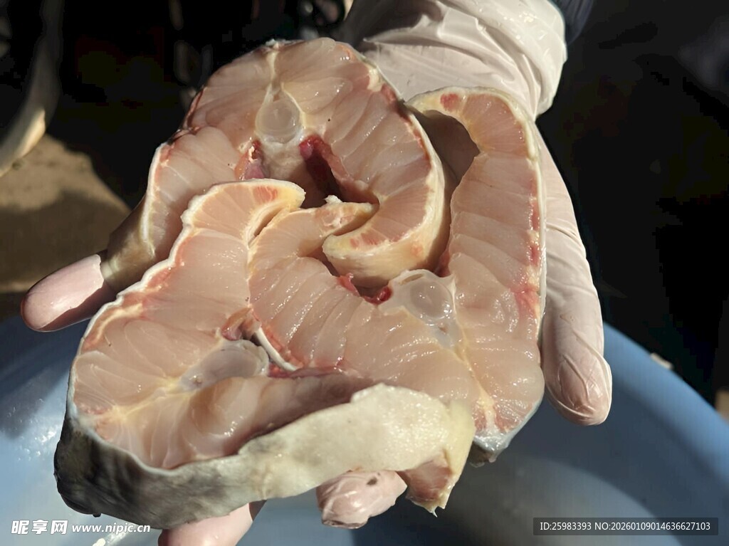 鲟鱼肉