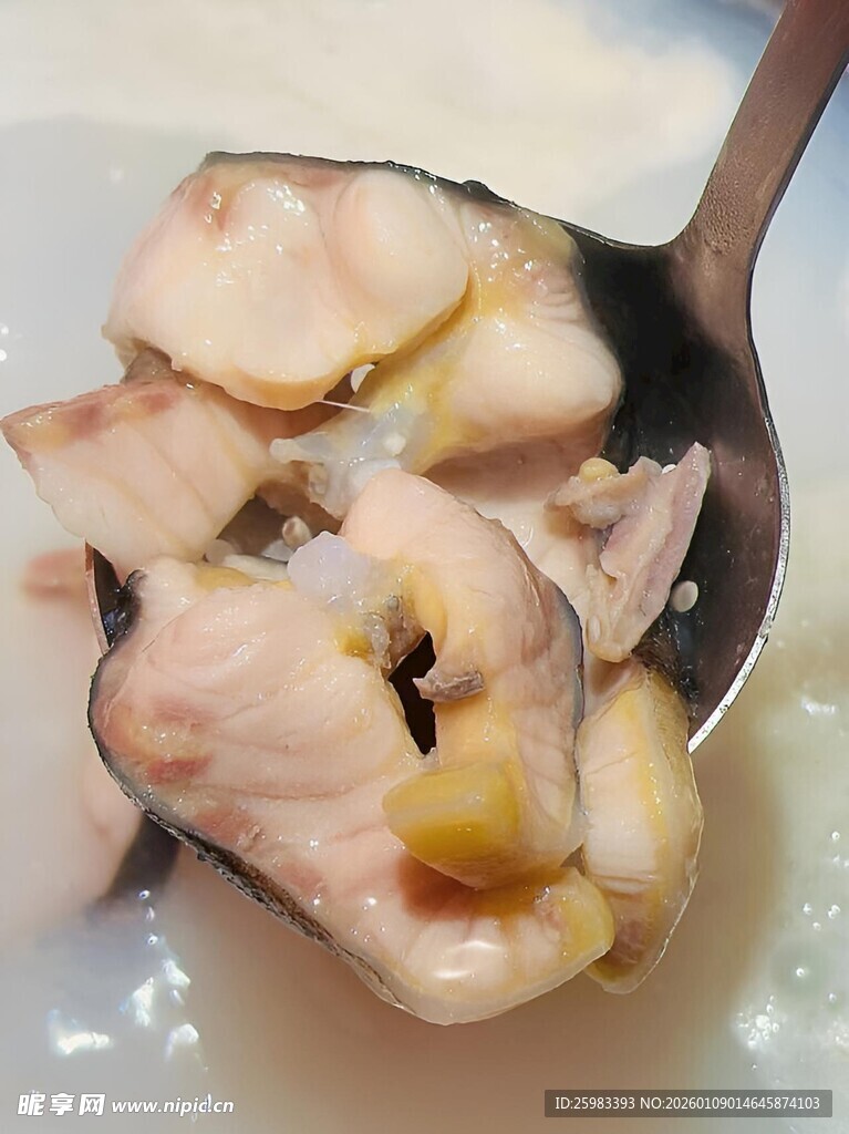 鲟鱼汤