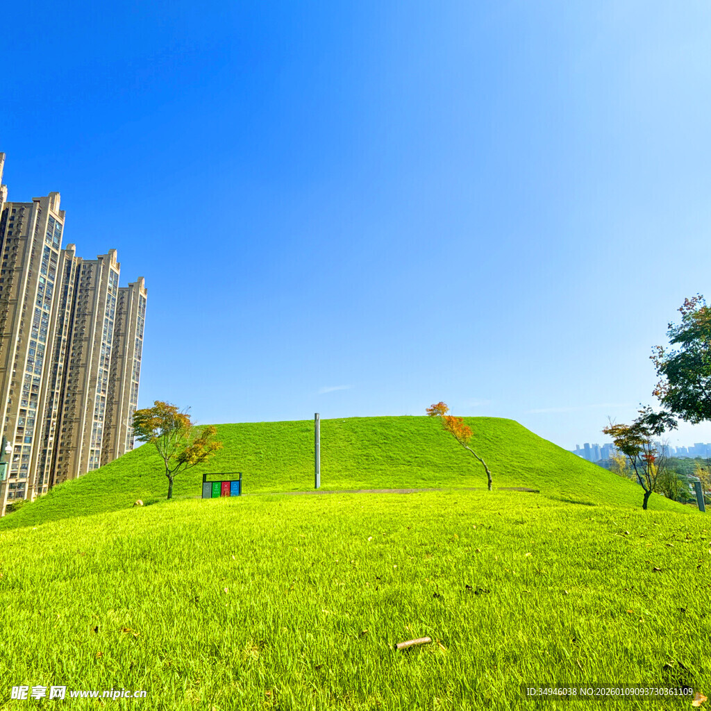 绿草如茵的城市绿地景观