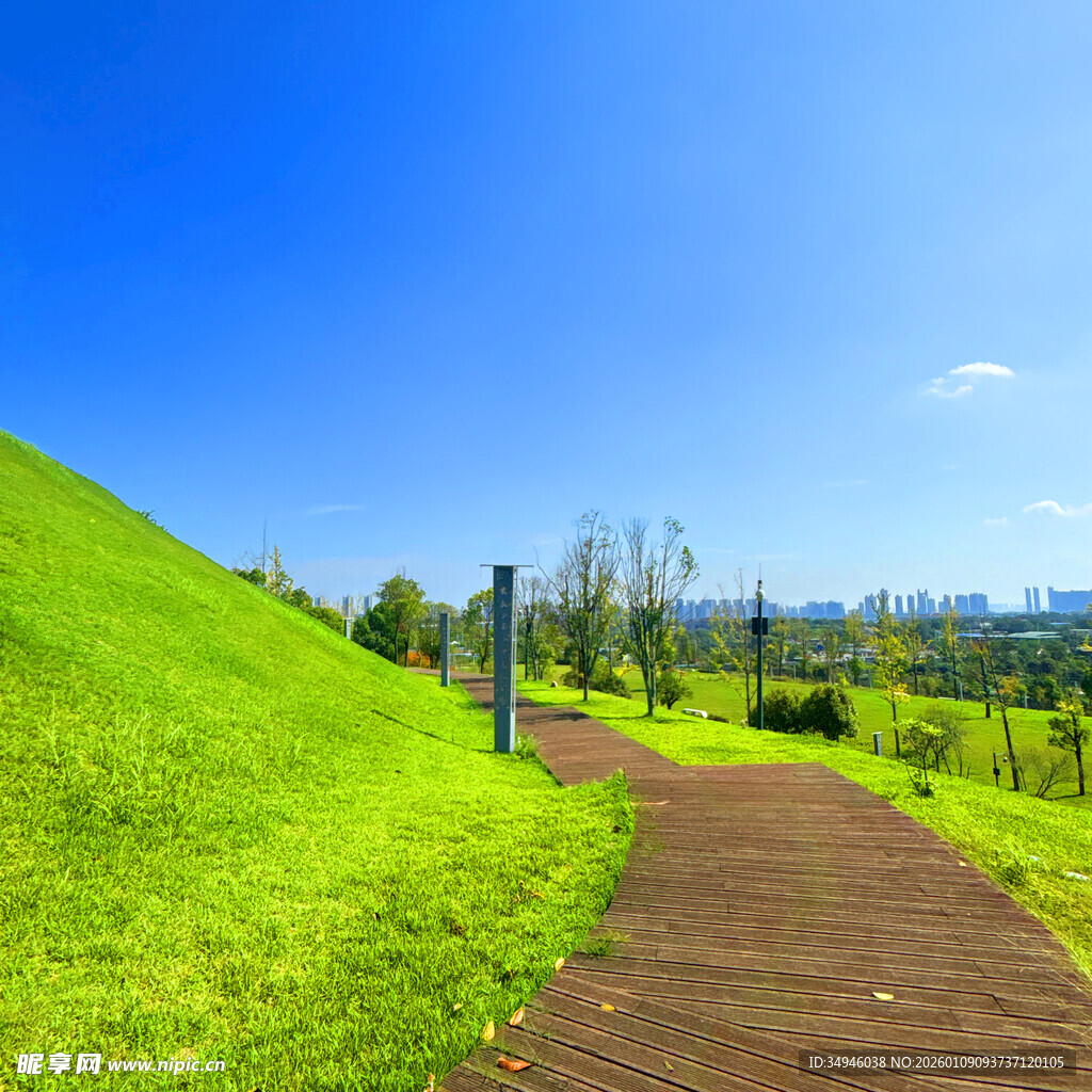 绿意盎然的山间小径