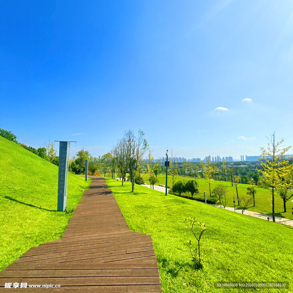 绿意盎然的户外木质步道