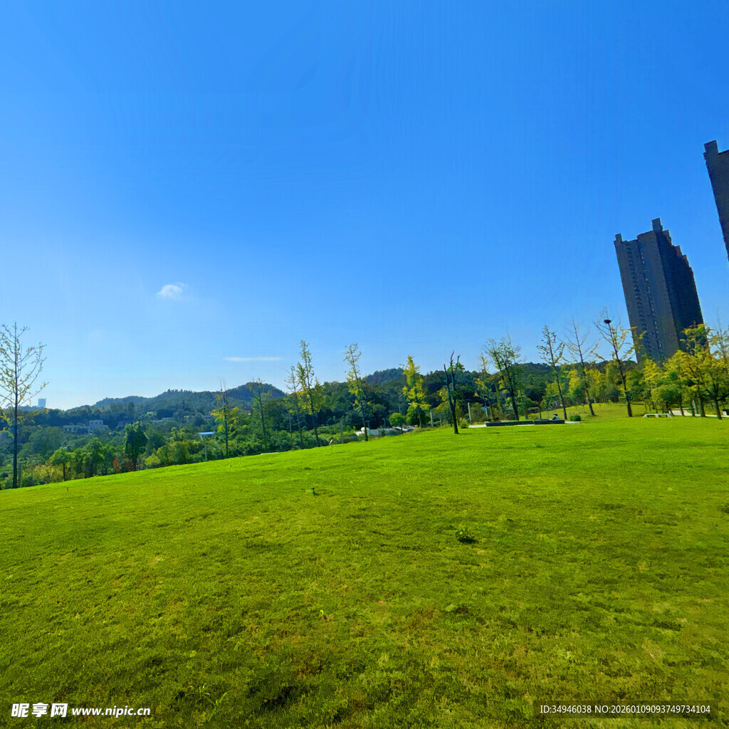 翠绿草地与远处高楼景观