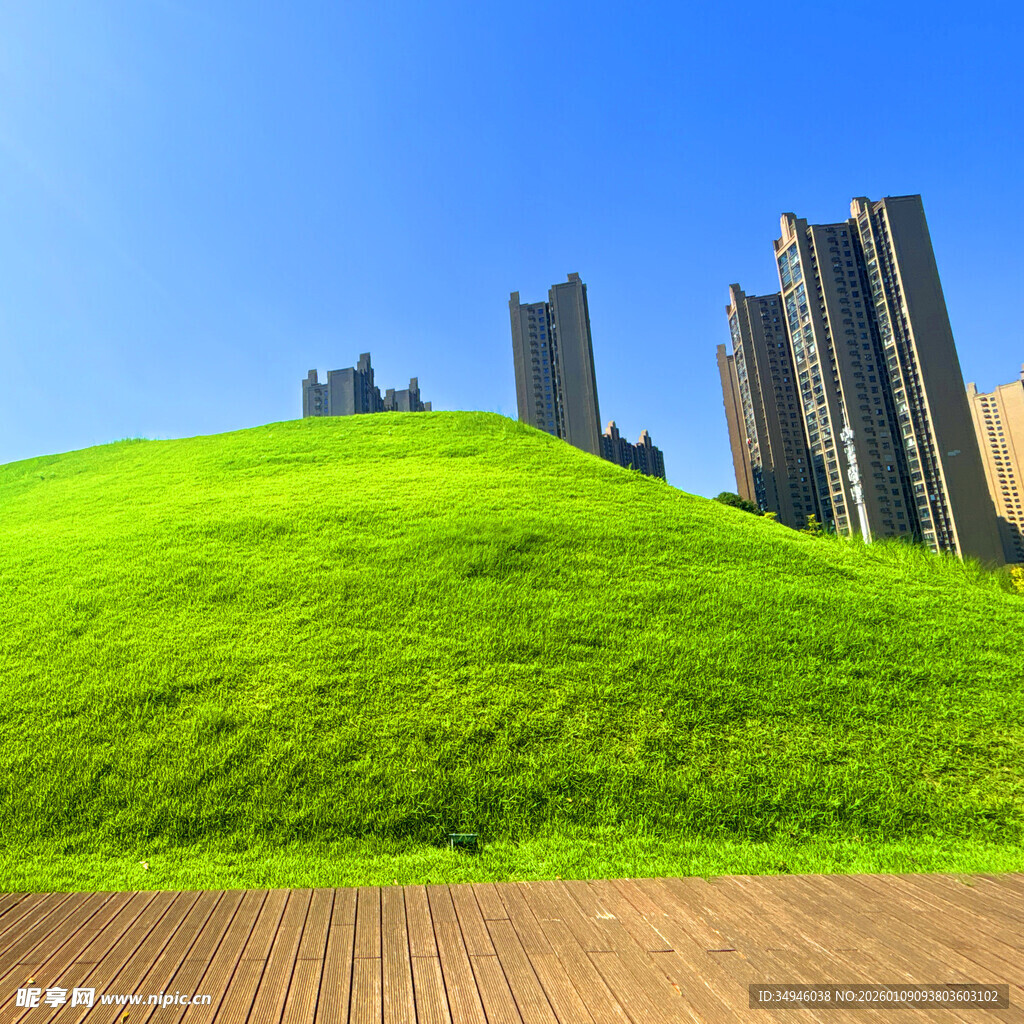 绿草如茵旁的现代高楼