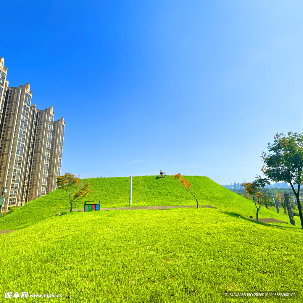 城市中的翠绿草坪景观