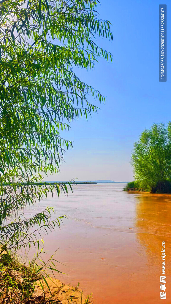 湖畔绿树映橙黄湖水