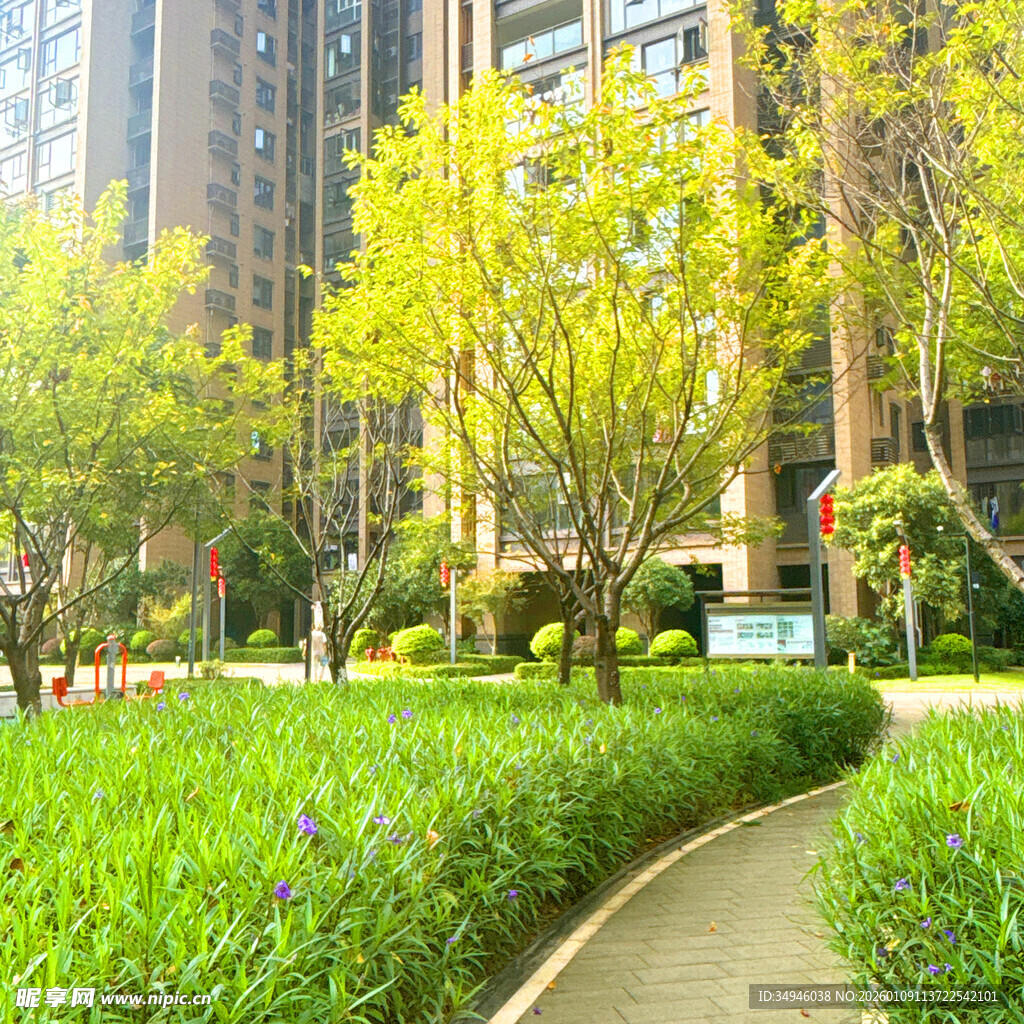 城市小区内的绿意小径