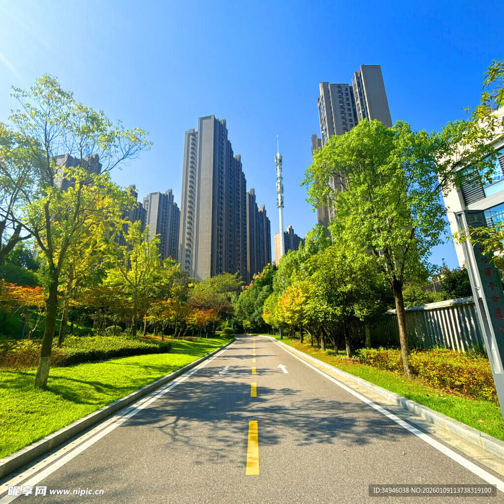 城市林荫大道与摩天大楼