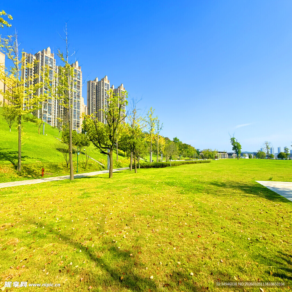 城市中的绿意草坪景观