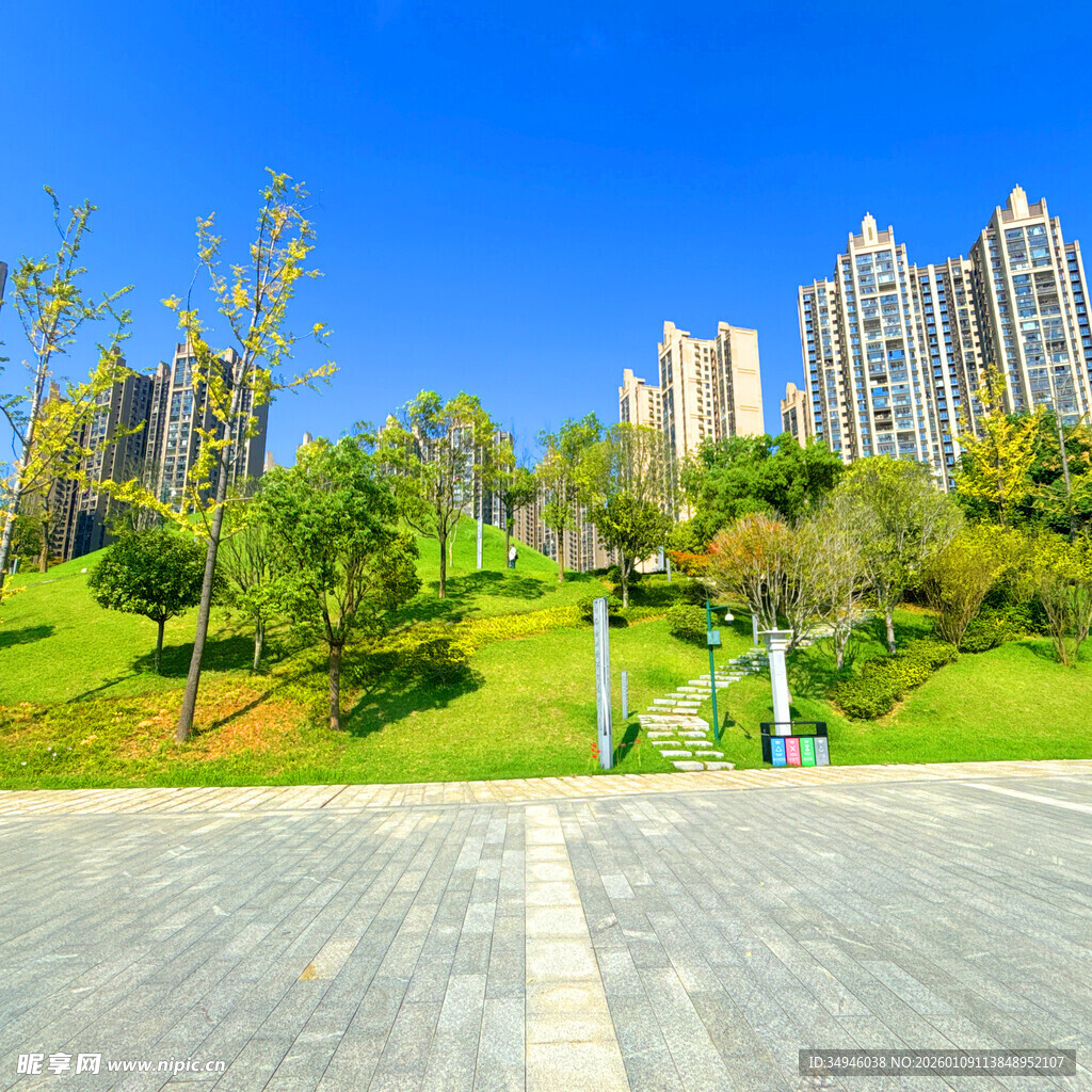 城市公园绿地与高楼景观