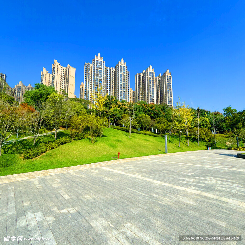 城市中的高楼与绿地景观